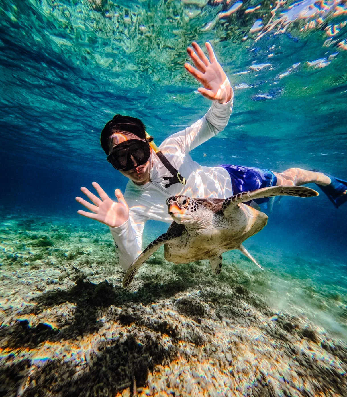 3 Gili Islands Snorkeling with sea turtles and corals